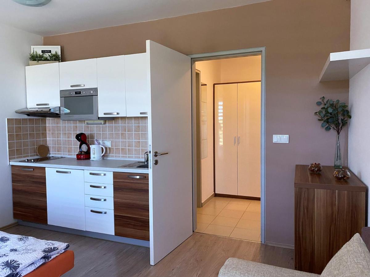 Miky Apartmán Klínovec meadow Loučná pod Klínovcem Exterior foto
