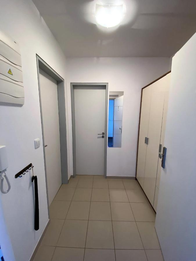 Miky Apartmán Klínovec meadow Loučná pod Klínovcem Exterior foto